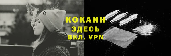сатива Лагань