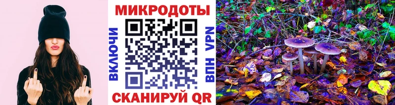 дарнет шоп  Дмитров  Псилоцибиновые грибы мицелий 