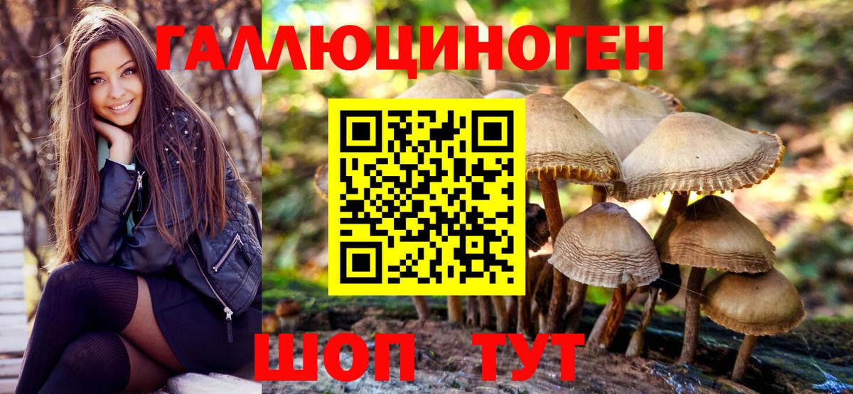 Галлюциногенные грибы Magic Shrooms Дмитров