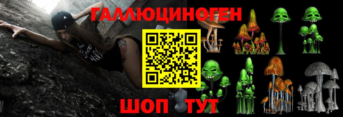 Псилоцибиновые грибы GOLDEN TEACHER  Вход с VPN  Дмитров 