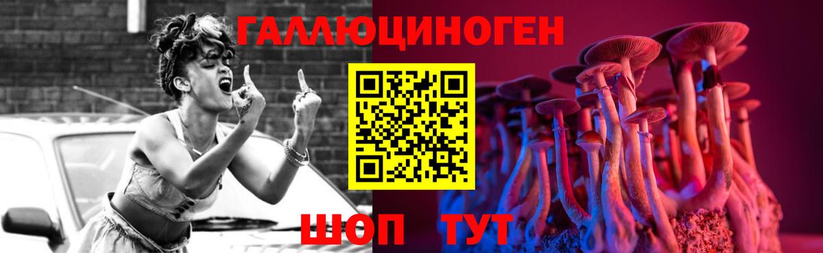 Псилоцибиновые грибы Psilocybe  продажа наркотиков  Дмитров 