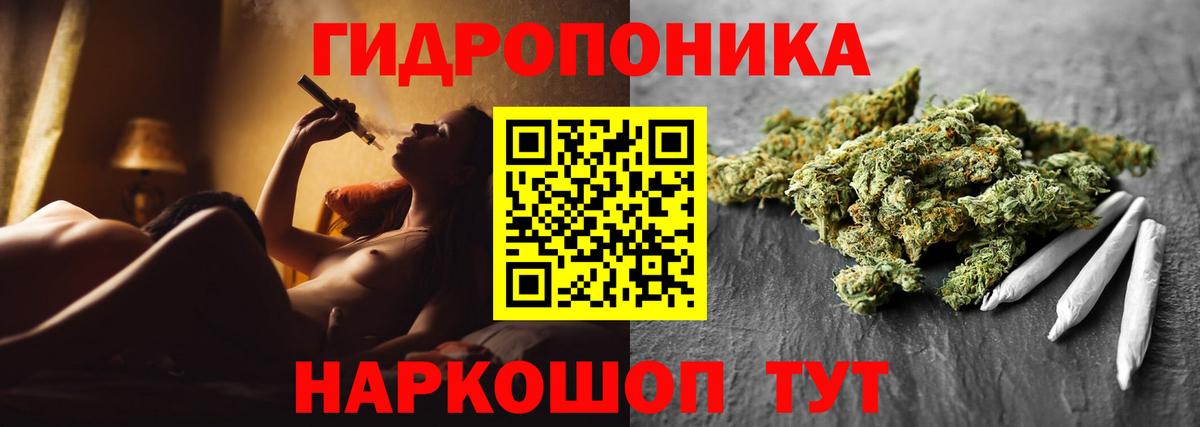 Бошки Шишки планчик Дмитров